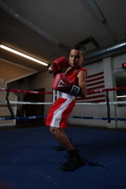 TITLE Boxing USA Boxing Competition Gloves - Elastic -Boxing Shop ACGESRD 3