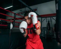 TITLE Boxing All Heart Bag Gloves 2.0 -Boxing Shop AHABG2WHRD 1