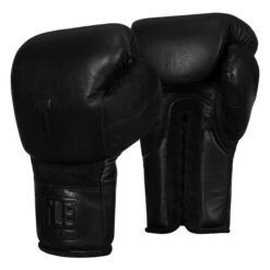 TITLE Black Lace Sparring Gloves 2.0 -Boxing Shop BKSG2 BK 2