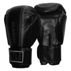 TITLE Classic Speed Boxing Gloves -Boxing Shop CABG12 BK GR 2