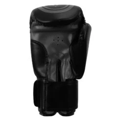 TITLE Classic Speed Boxing Gloves -Boxing Shop CABG12 BK GR 4