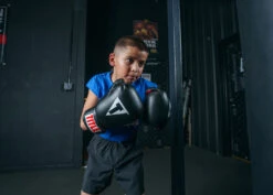 TITLE Classic Boxing Gloves 18 TITLE Classic Boxing Gloves -Boxing Shop CABGBKRD 3