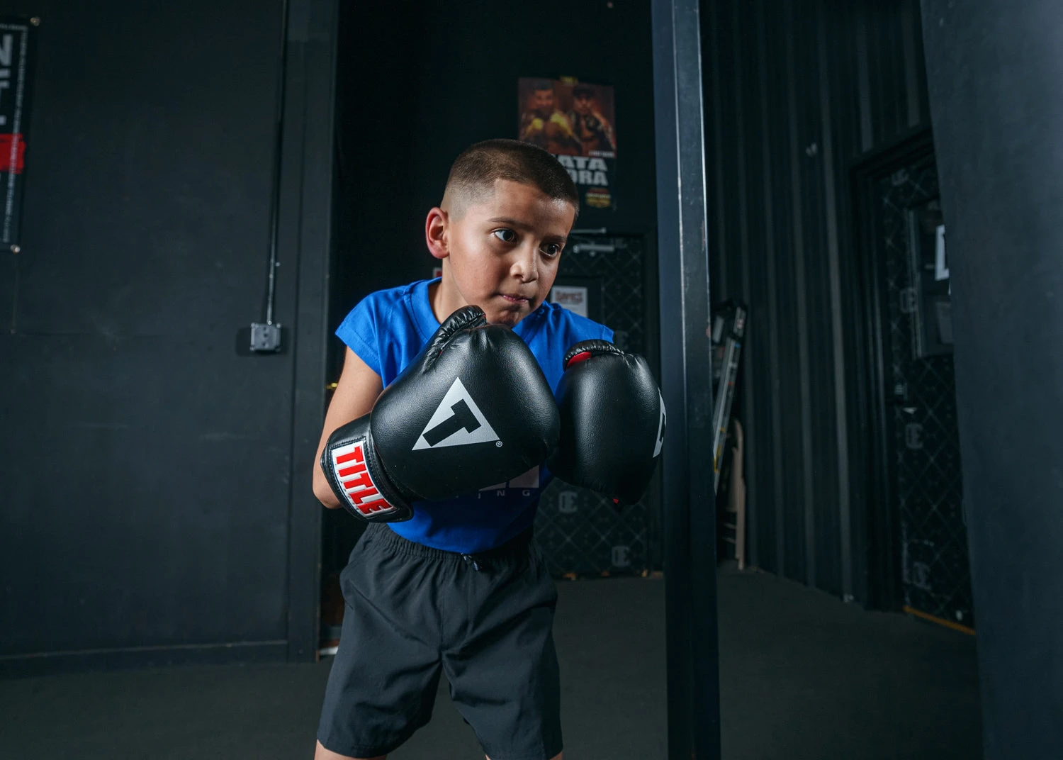 TITLE Classic Boxing Gloves 10 TITLE Classic Boxing Gloves - Image 8