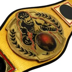 TITLE Boxing Championship Belt 12 TITLE Boxing Championship Belt -Boxing Shop CLTB134 03