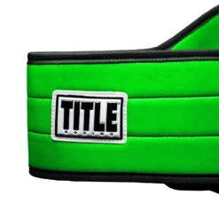 TITLE Boxing World Boxing Champion Title Belt 15 TITLE Boxing World Boxing Champion Title Belt -Boxing Shop CLTB20 GN 4