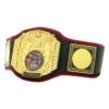 TITLE Boxing Triple Platinum Title Belt 2 TITLE Boxing Triple Platinum Title Belt -Boxing Shop CLTB203 BK 1
