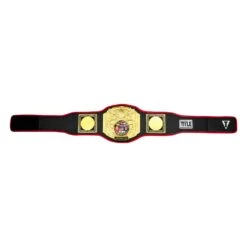TITLE Boxing Triple Platinum Title Belt -Boxing Shop CLTB203 BK 6