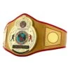 TITLE Boxing Gold Flash Title Belt -Boxing Shop CLTB215 GD 1
