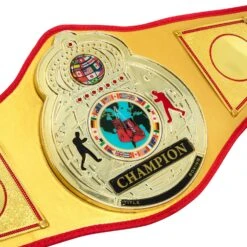 TITLE Boxing Gold Flash Title Belt 10 TITLE Boxing Gold Flash Title Belt -Boxing Shop CLTB215 GD 3
