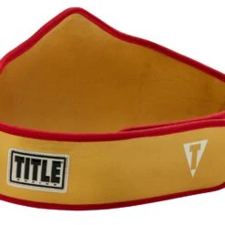 TITLE Boxing Gold Flash Title Belt 11 TITLE Boxing Gold Flash Title Belt -Boxing Shop CLTB215 GD 4