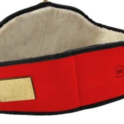 Title Boxing Torch Belt -Boxing Shop CLTB25 RD 4