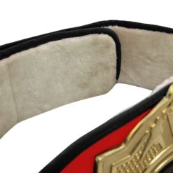 Title Boxing Torch Belt -Boxing Shop CLTB25 RD 5