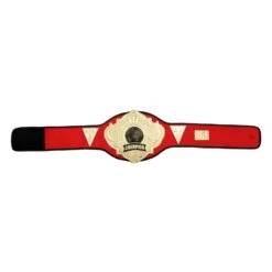 Title Boxing Torch Belt -Boxing Shop CLTB25 RD 6