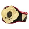 Title Boxing Torch Belt 1 Title Boxing Torch Belt -Boxing Shop CLTB25 1
