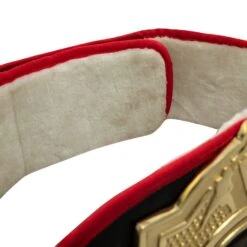 Title Boxing Torch Belt -Boxing Shop CLTB25 5