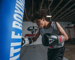 TITLE Classic Pro Style Training Gloves 3.0 -Boxing Shop CVVTG3BK 1