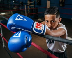 TITLE Classic Pro Style Training Gloves 3.0 -Boxing Shop CVVTG3BL 1