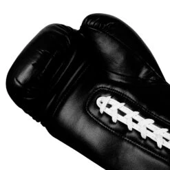 TITLE Boxing Legacy Autograph Gloves 2.0 -Boxing Shop EABG2 BK 4