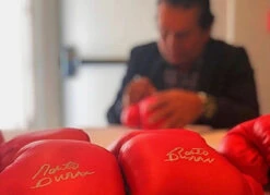 TITLE Boxing Legacy Autograph Gloves 2.0 -Boxing Shop EABG2RD1
