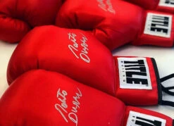 TITLE Boxing Legacy Autograph Gloves 2.0 -Boxing Shop EABG2RD2