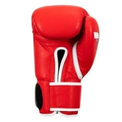 Fighting Fury Professional Training Gloves -Boxing Shop FSFTGE RD 04