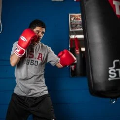 Fighting Fury Professional Training Gloves -Boxing Shop FSFTGERD