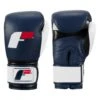 Fighting Force Leather Bag Gloves -Boxing Shop FTGFBG BL WH BK 1