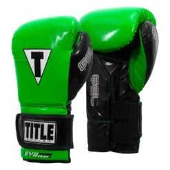 TITLE Boxing Gel Glory Super Bag Gloves 2.0 -Boxing Shop GGASBG2 LM BK 002
