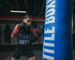 TITLE Boxing Guts And Glory Bag Gloves -Boxing Shop GGBGBKRD 1