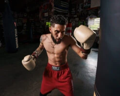 TITLE Boxing Honorary Bag Gloves 35 TITLE Boxing Honorary Bag Gloves -Boxing Shop GOSBGTNMR 1