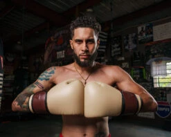 TITLE Boxing Honorary Bag Gloves 29 TITLE Boxing Honorary Bag Gloves -Boxing Shop GOSBGTNMR 2