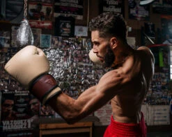 TITLE Boxing Honorary Bag Gloves 34 TITLE Boxing Honorary Bag Gloves -Boxing Shop GOSBGTNMR 3