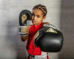 TITLE Boxing Gel World V2T Bag Gloves -Boxing Shop GTWBGV2T BK GD WH