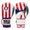 TITLE Boxing Infused Foam Combat USA Training Gloves -Boxing Shop HIFUTG 1