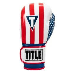 TITLE Boxing Infused Foam Combat USA Training Gloves -Boxing Shop HIFUTG 3