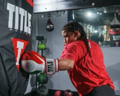 TITLE Boxing Infused Foam El Combate Mexico Training Gloves -Boxing Shop HIFXTGMEX 2