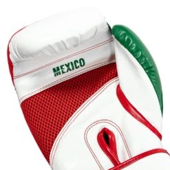 TITLE Boxing Infused Foam El Combate Mexico Training Gloves -Boxing Shop HIFXTG 5