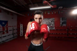 TITLE Boxing Inferno Intensity Elastic Training Gloves -Boxing Shop ITGEIRDWH 3