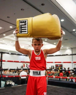 TITLE Boxing Jumbo Boxing Gloves 2.0 -Boxing Shop JBG2GD 1