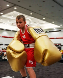 TITLE Boxing Jumbo Boxing Gloves 2.0 -Boxing Shop JBG2GD 2