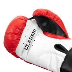 TITLE Classic Kid & Youth Boxing Gloves 2.0 -Boxing Shop KGLV2 RD WH BK 05