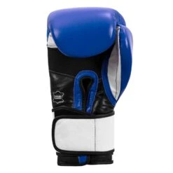 TITLE Boxing Premium Leather Performance Training Gloves -Boxing Shop LPTG BL WH BK 004