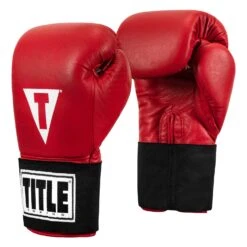 TITLE Boxing Masters USA Boxing Competition Gloves - Elastic -Boxing Shop MACGES RD 02
