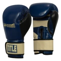 TITLE Boxing Rock Steady Leather Training Gloves -Boxing Shop RSBVLTTG BL TN 2
