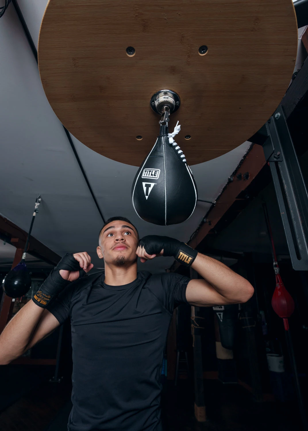 TITLE Boxing Super Speed Bags 4 TITLE Boxing Super Speed Bags - Image 2