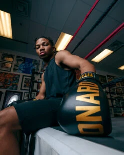 TITLE Boxing Sugar Ray Leonard Leather Bag Gloves -Boxing Shop SRLBG 2 2