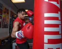 TITLE Boxing Sugar Ray Leonard Signature Leather Sparring Gloves -Boxing Shop SRLSLSG 4 3