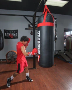 TITLE Boxing Titanic Flex-Strike Heavy Bag -Boxing Shop STRK3