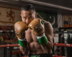 WBC By TITLE Boxing Jose Sulaiman Leather Gloves -Boxing Shop WBCJPFG