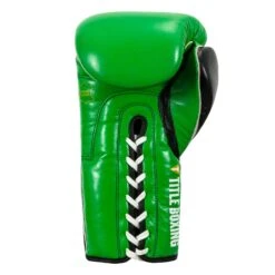 WBC By TITLE Boxing Sparring Gloves -Boxing Shop WBCSG GN BK 04